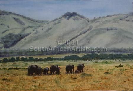 Elephants in the Masai