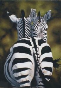 "zebra Duo"