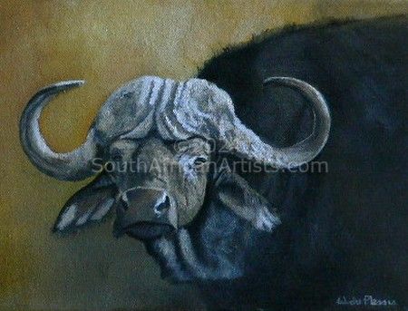 Buffalo portrait #1