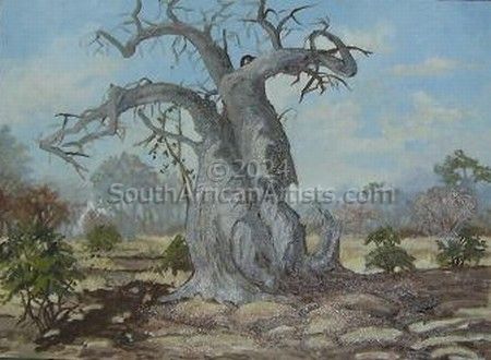 Limpopo Baobab