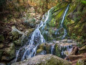"Waterfall at Slelton Gorge"
