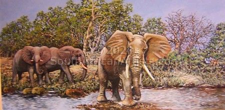 Elephants on the Sabi