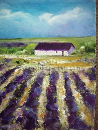 Lavender Fields 1