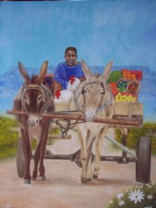 "Donkiekar Donkey Cart Capetown"