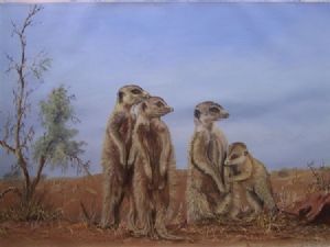 "Meerkat Family"