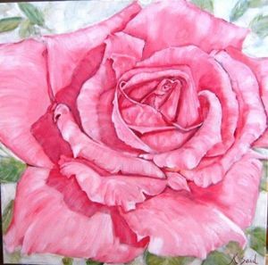 "Soft Pink Rose"