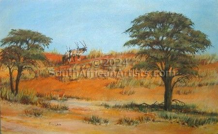 Gemsbuck in the Kalahari