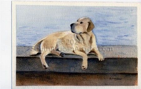 Labrador On Harbour Wall