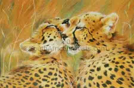 Cheetah Cubs Grooming 