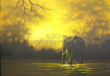 Lone Elephant Bull at Sunset - Chobe