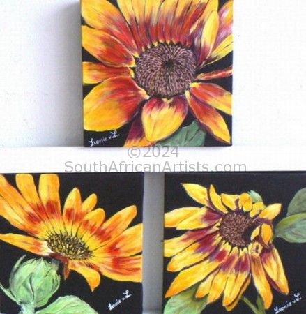 Set of three sunflowers