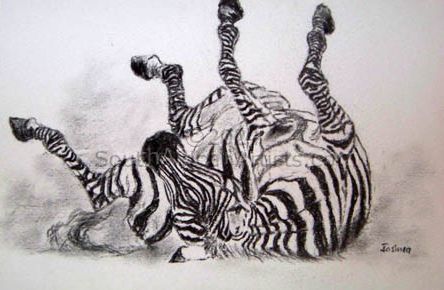Zebra in Dust