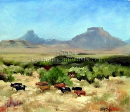 Cows in the Karoo