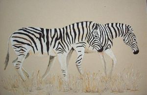 "Two Zebras"