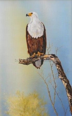 Fish Eagle(Set of Two Paintings)