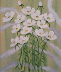 "Kosmos Flowers White 1"
