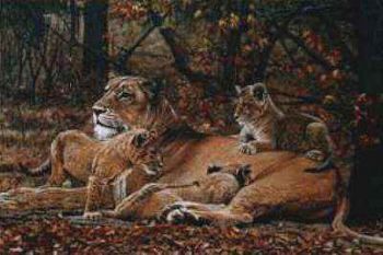"Lioness and cubs"