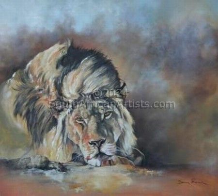 Resting Lion Male