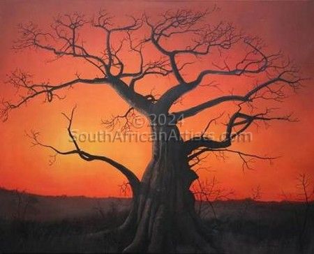 Sunset with Baobab tree