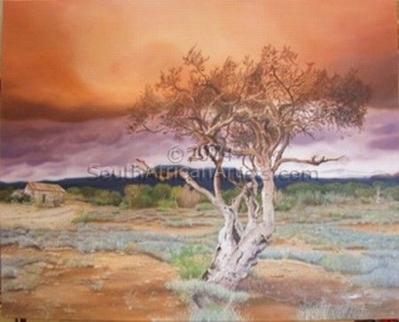 Karoo Landscape, Shepherd's Tree