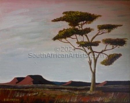 Kalahari Tree