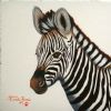 "Young Zebra"