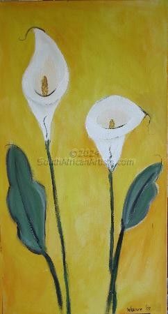 White Arum Lilies