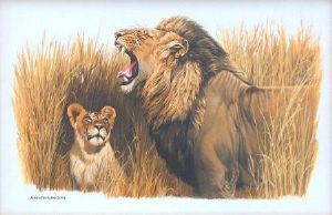 "Male Lion, Admiring Cub"