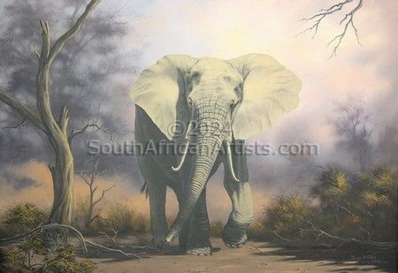 Elephant, Savuti