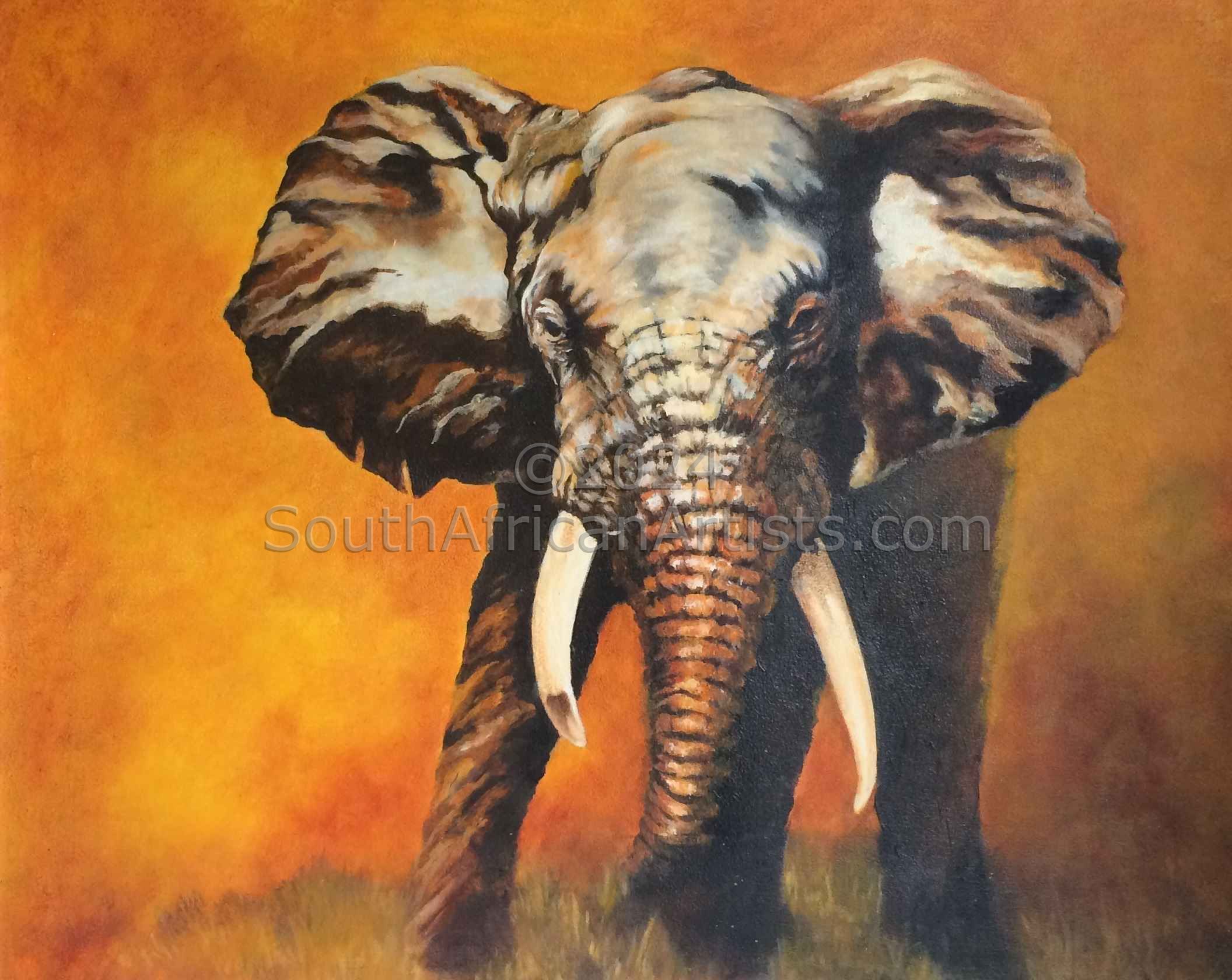 Elephant at Sunset