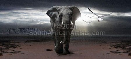 Elephant in Cape Town