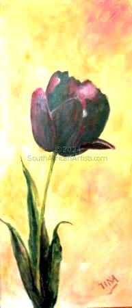 Black Tulip 1