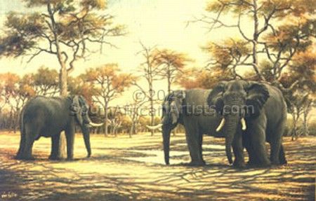 Midday Meeting - Elephants
