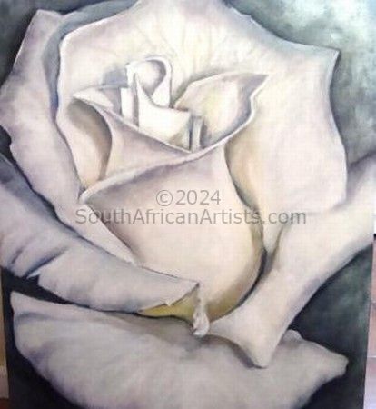 White Rose on Silver
