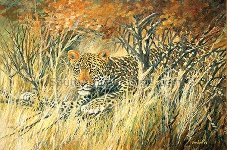 Autumn Creeps In - Leopard