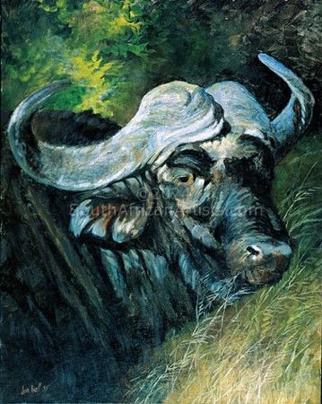 Mabula Male - Buffalo