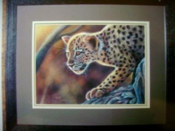 "Leopard cub"