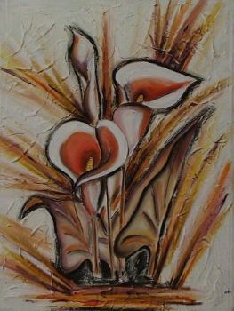 "Arum lilies"