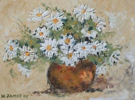Daisies in Spring
