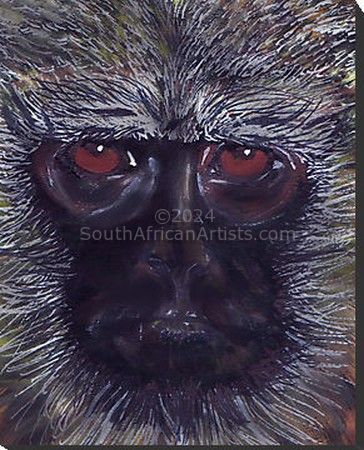 African Wildlife: Vervet Monkey