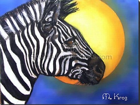 African Wildlife: Zebra
