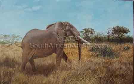 437 Shawu - Elephant