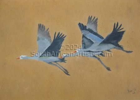 Blue Cranes in Flight