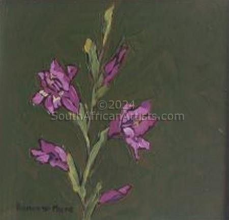 Fynbos 13, Gladiolus