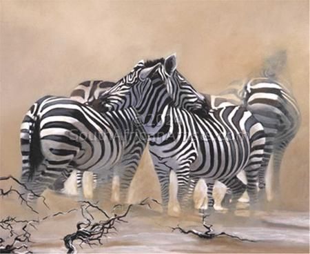 Zebras in the sun