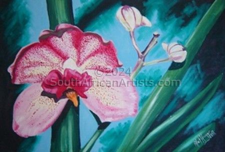 Orchid - Vanda Msai