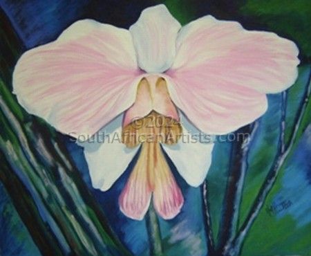 Orchid - Vanda Teres