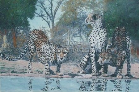 Cheetah Drinking Water