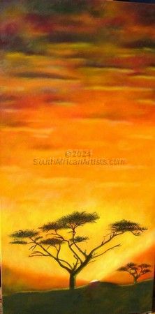 Acacia with Sunset