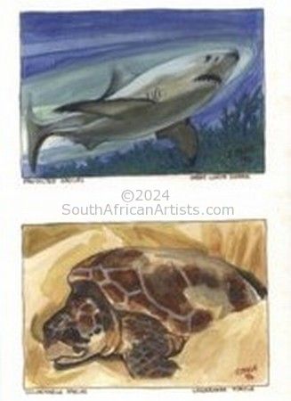 Endangered Sealife 4 Paintings Set